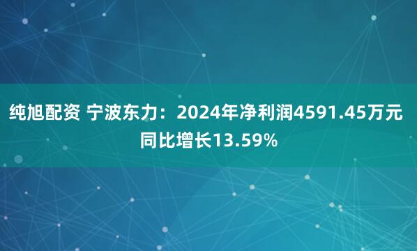 纯旭配资 宁波东力：2024年净利润4591.45万元 同比增长13.59%