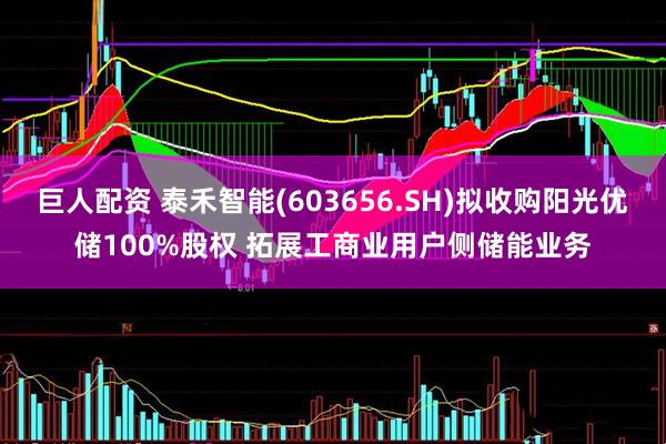 巨人配资 泰禾智能(603656.SH)拟收购阳光优储100%股权 拓展工商业用户侧储能业务