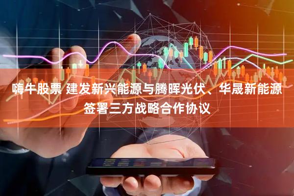 嗨牛股票 建发新兴能源与腾晖光伏、华晟新能源签署三方战略合作协议